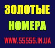 Купить Красивые Золотые номера МТС 050, 066, 095. 099 Украина